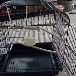 Bird Cage 