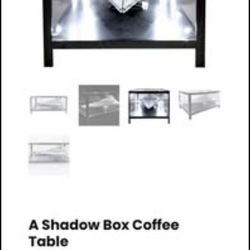 Display Case / Table