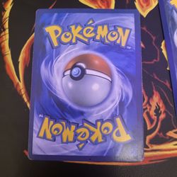 Free Shipping And Not Damage At All.