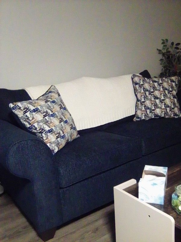Navy Blue Sofa