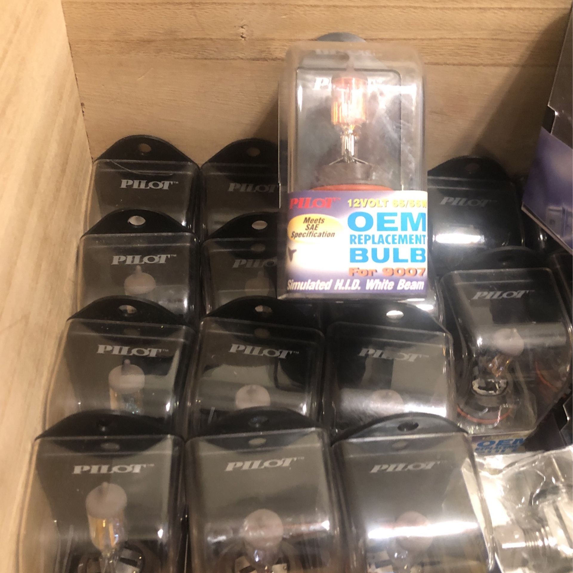 Pilot 12 Vol 55/55w Own Replacement Bulb