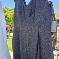 2 Dresses.  One Is CALVIN Clain. Size 12 And The other Is Size 10 Loft Pick Up Only.  One Is New And The other One Time Use. Pick Up Only 