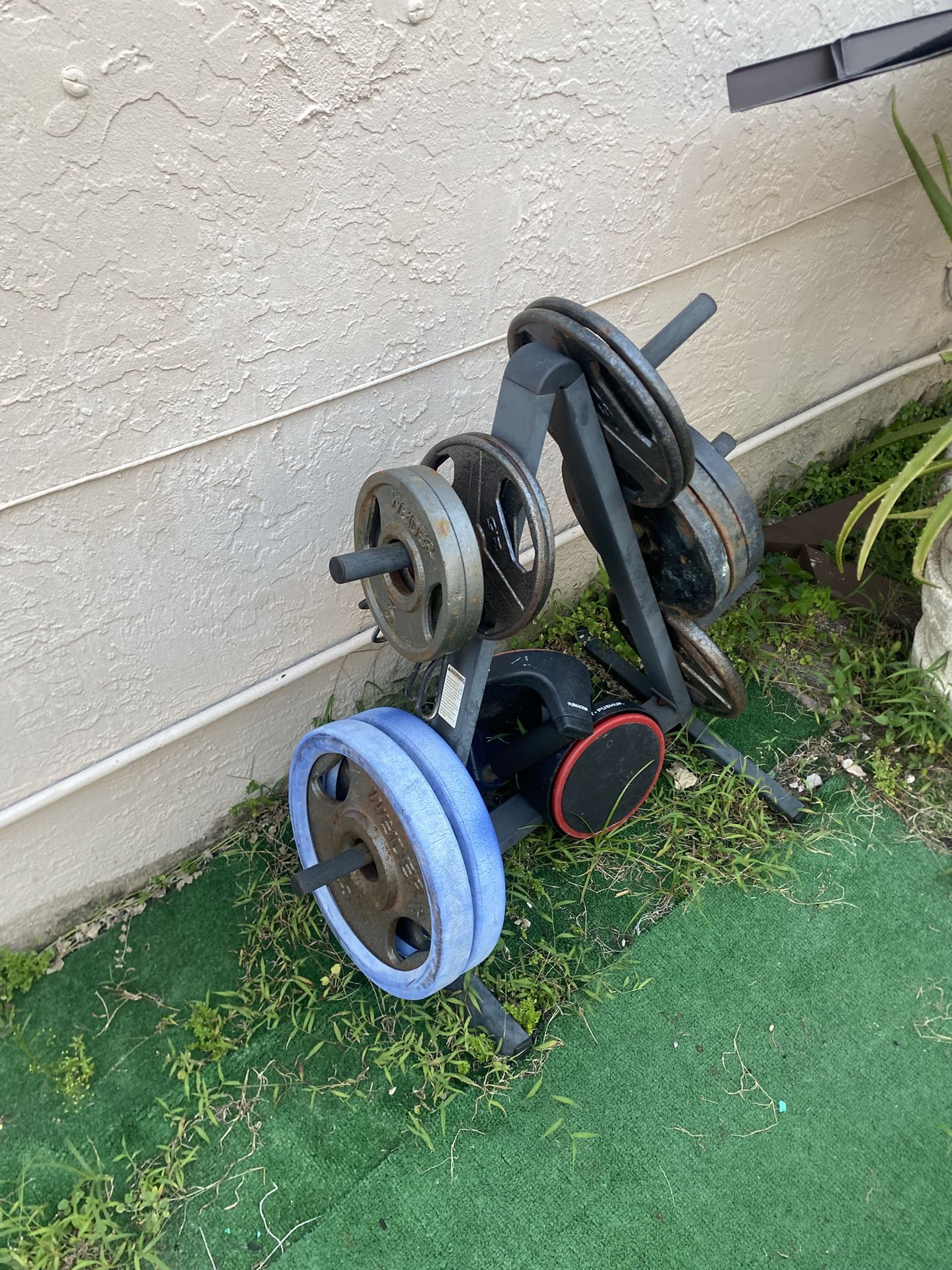 Weighs