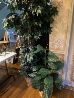 Artificial Plants $5 Each