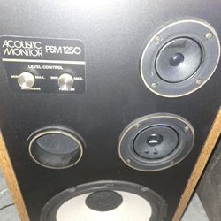 2 Acoustic Speakers W/covers