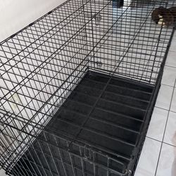 Extra Large Cage L 42 W28 H 31