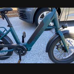  magnum Pathfinder 350 E bike