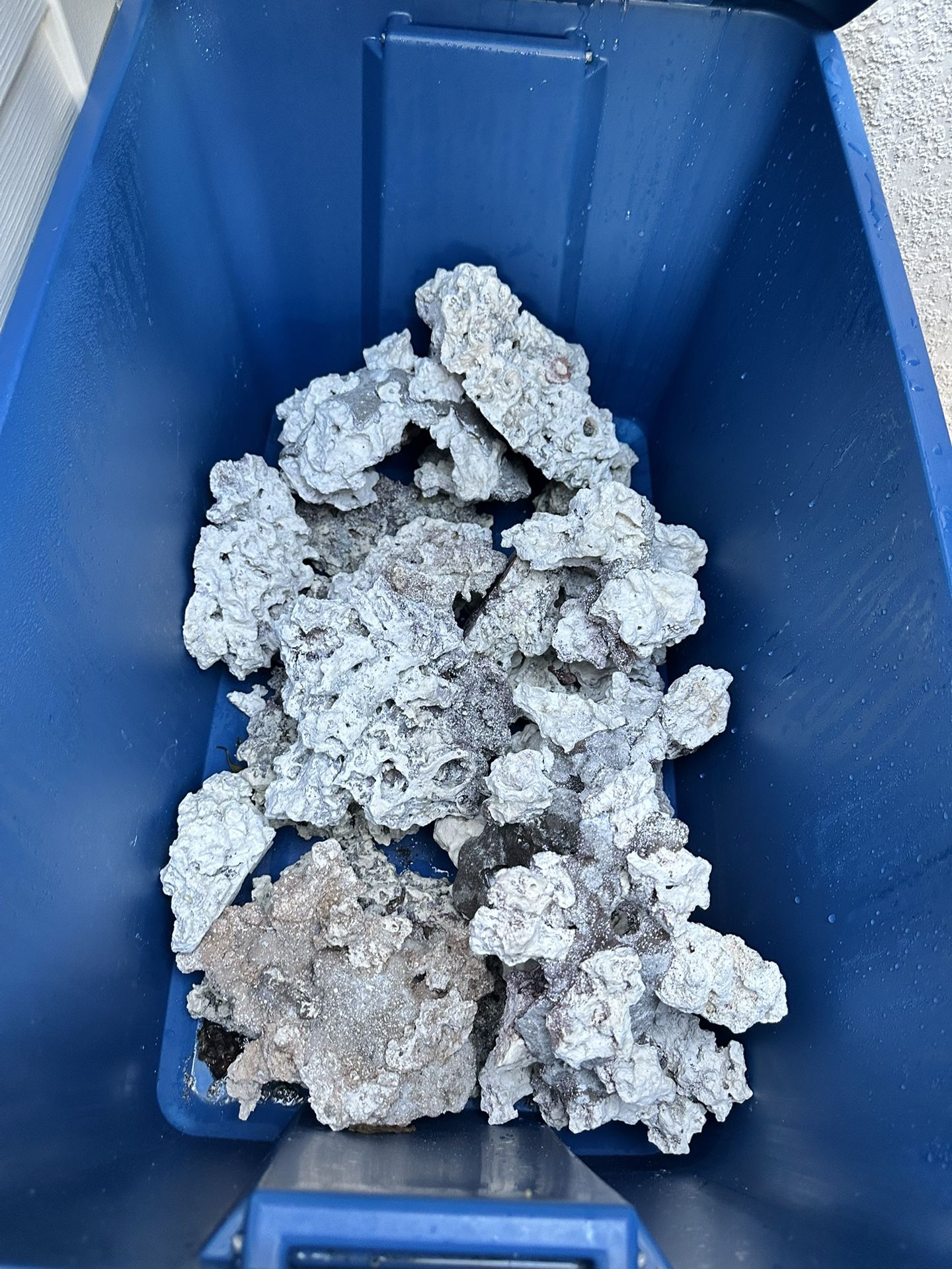 Over 100 Pound Of Dry Rock