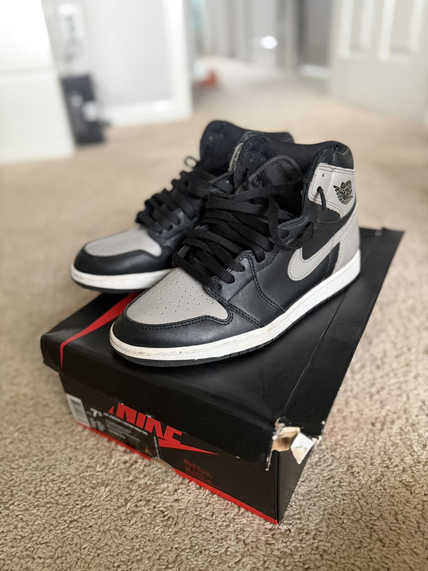 Jordan 1 Shadow GS