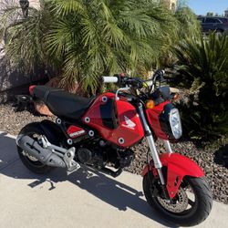 2023 Honda Grom