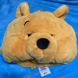 Disneyland Winnie The Pooh Plush Hat