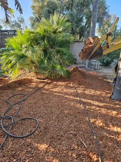 Mulch