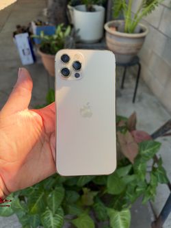 Iphone 12 pro