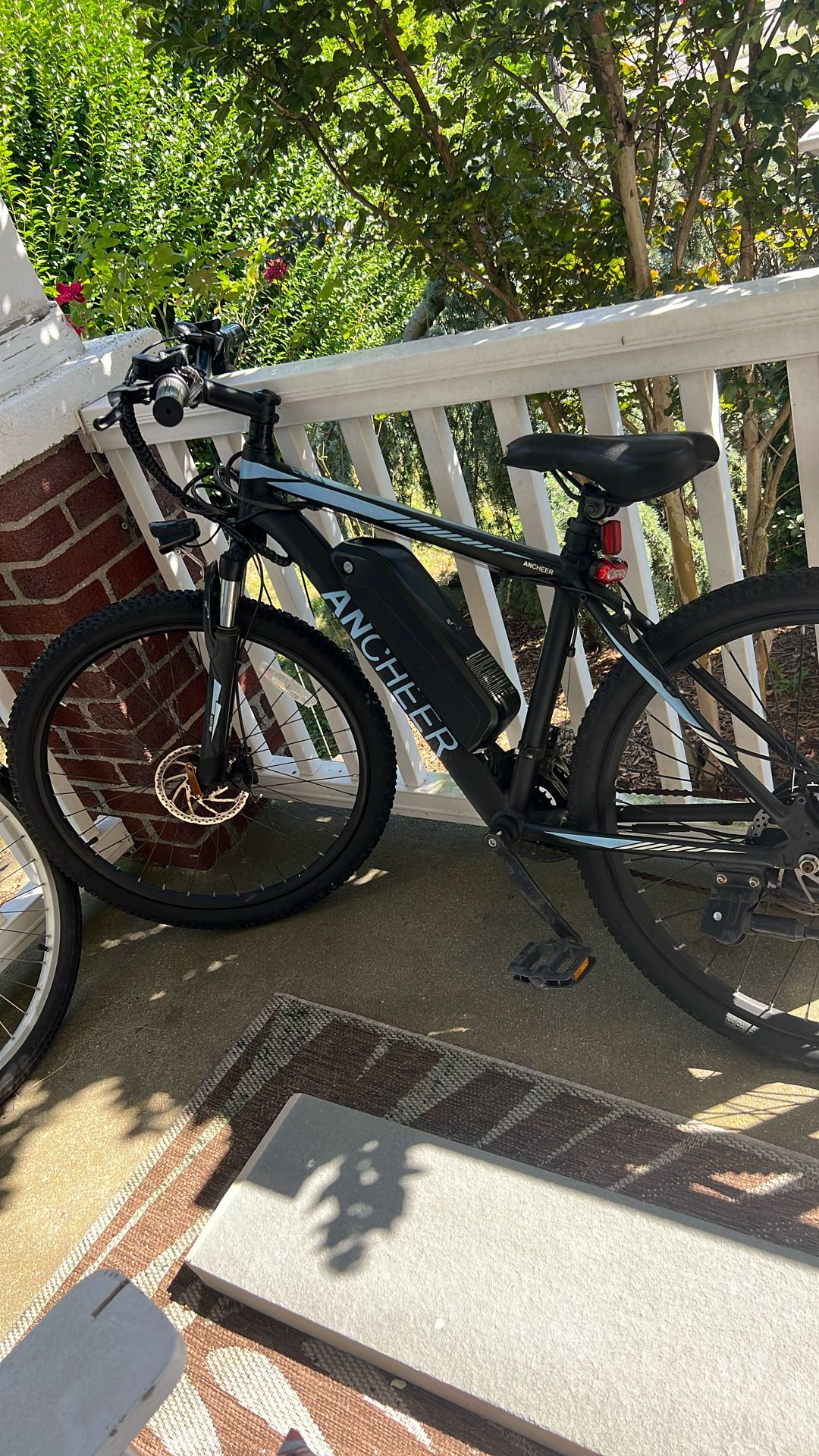 Electric Bike