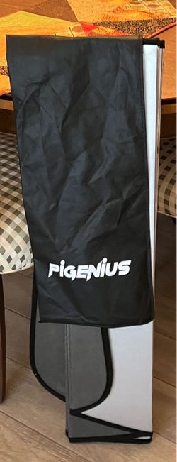 Pigenius Tesla Y windshield sunshade - great condition!