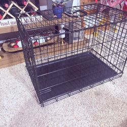 Dog Craig like new $30