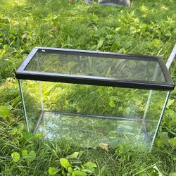 Reptile Tank
