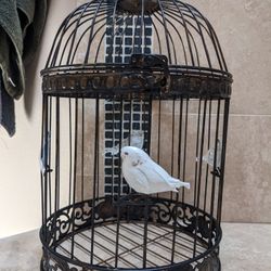 Antique Cage For Plants Or Anything 