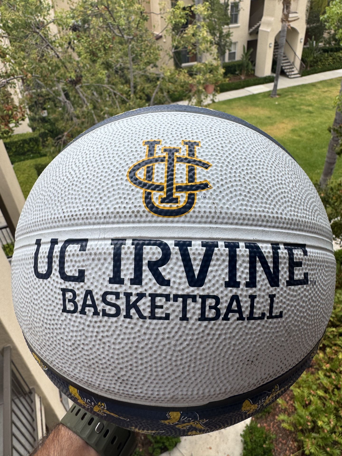 UC Irvine Official Logo Basketball