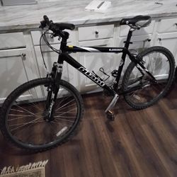 Giant Mountain Bike 