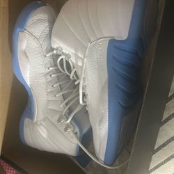 Air Jordan 12 Retro 