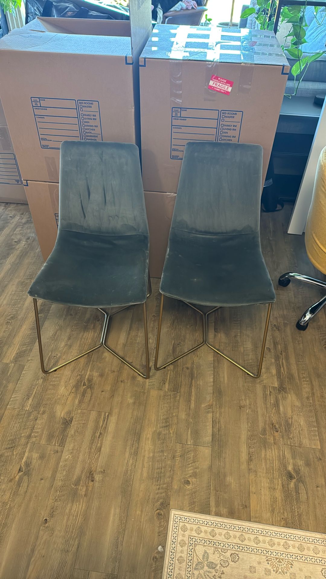  Modern Slope Dining Chair, Astor Velvet, Slate, Antique Brass