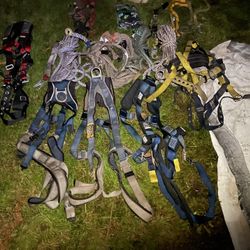 Fall Protection Harness