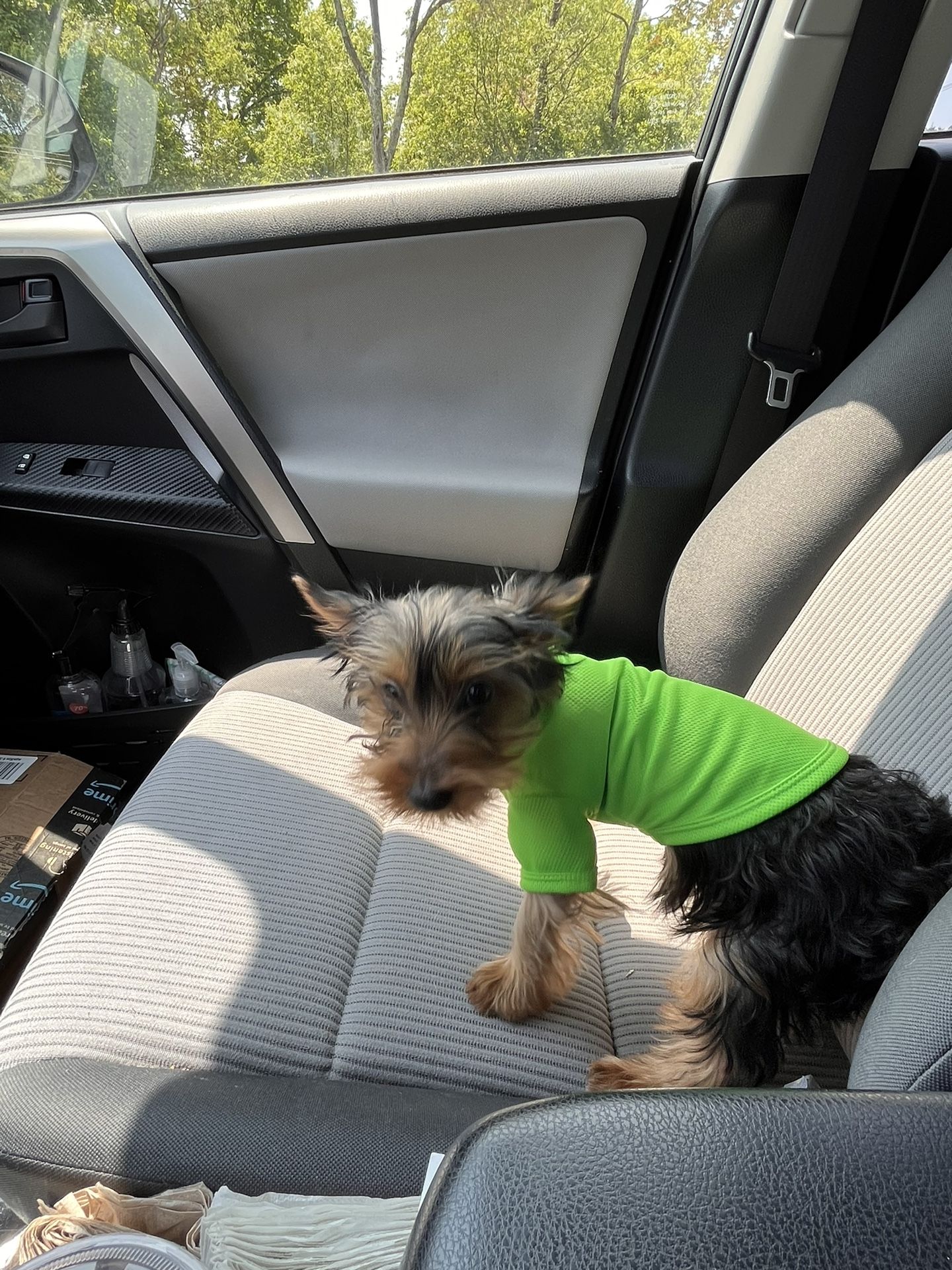 Pet Shirts