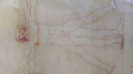 Leonardo Da Vinci Vitruvian Man poster