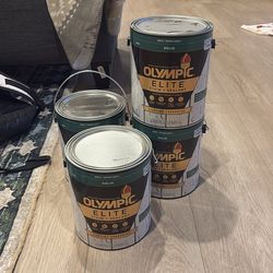 Elite 4 gal. Base 1 Solid Advanced Exterior Stain and Sealer in One