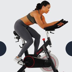 Sunny Brand Indoor Exercise Bike 