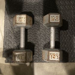 20 Pound Dumbbell Set