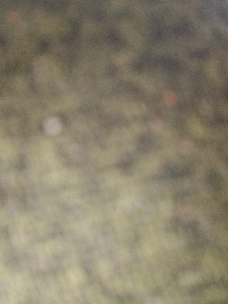 Se Vende Traila