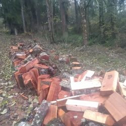 Firewood  Alder