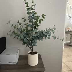 Fake Eucalyptus Plant