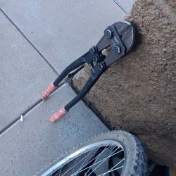 Bolt Cutters 