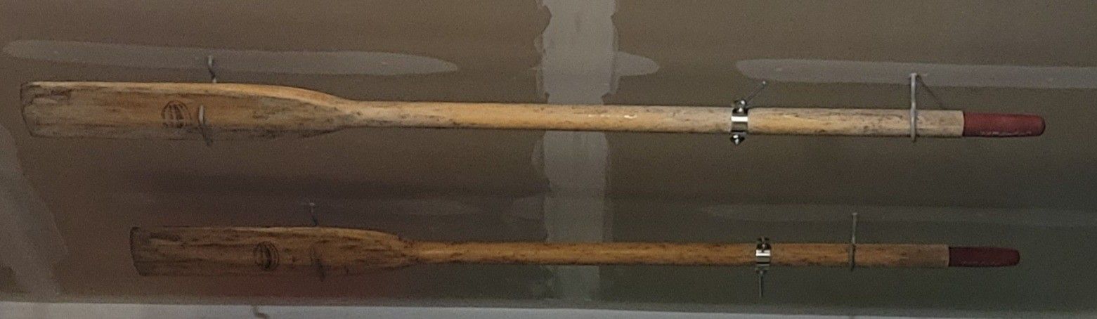 Wooden Oars