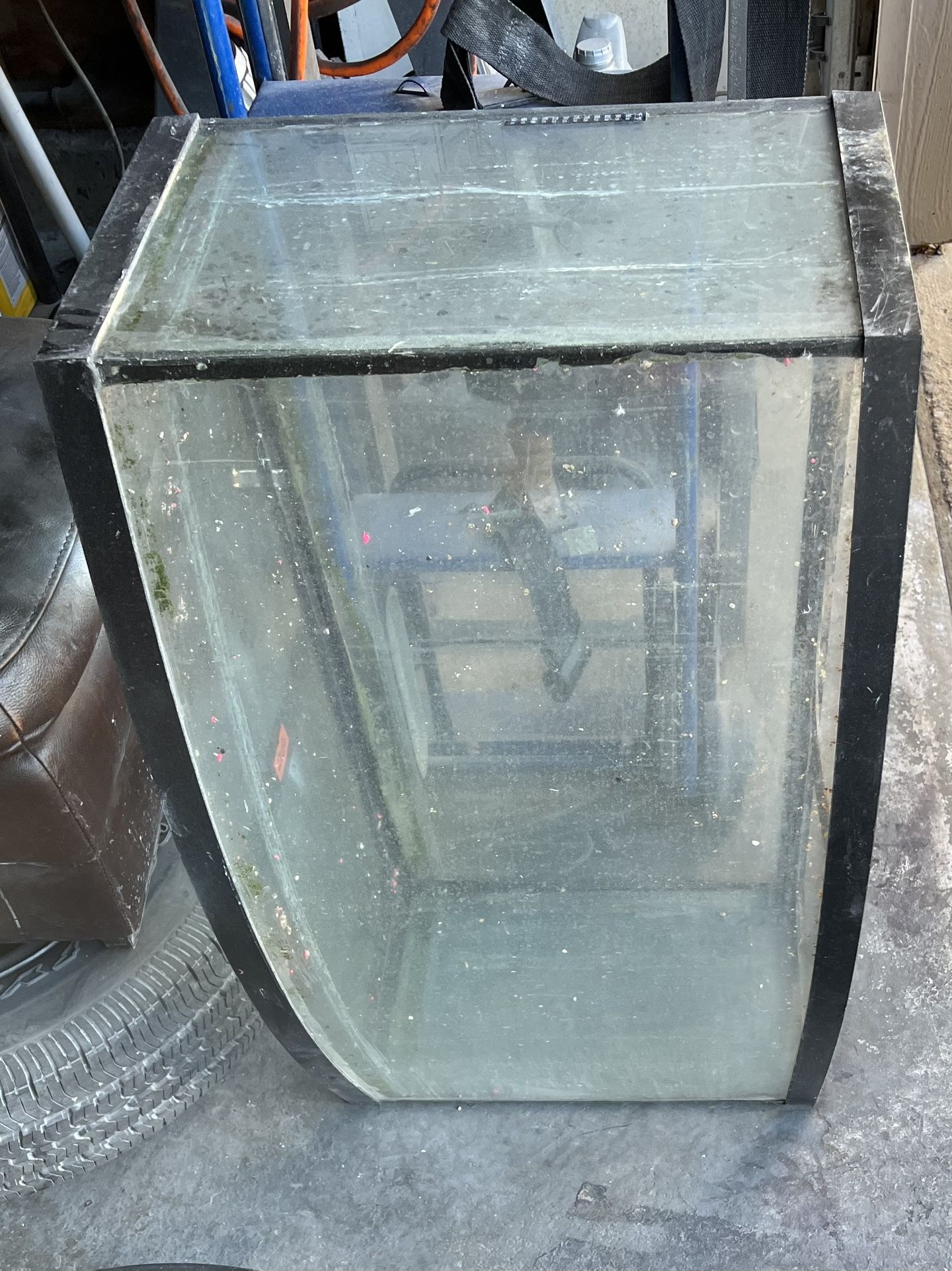 48g Bowfront Fish Tank