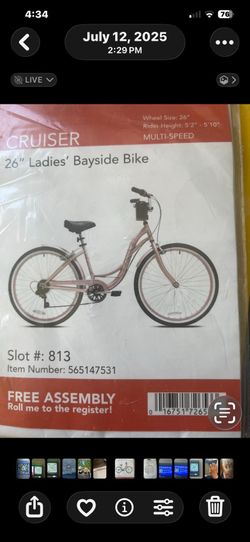 Bicycle (adult)