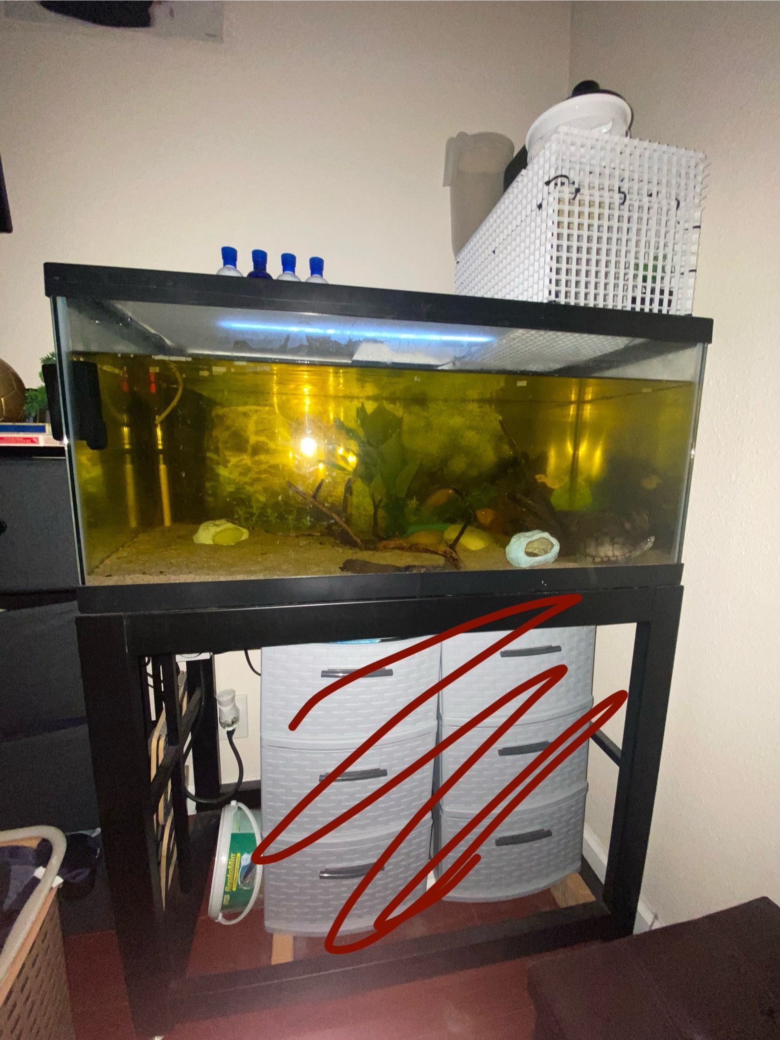 40 Gallon Fish Tank / Turtle Tank