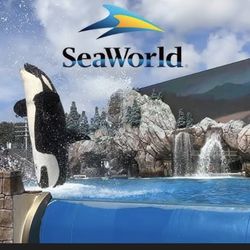 Seaworld San Diego