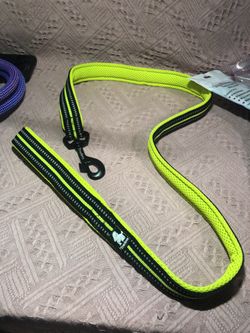 Leash for dog