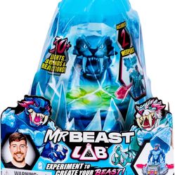 Mr Beast Ice Lab Reveal