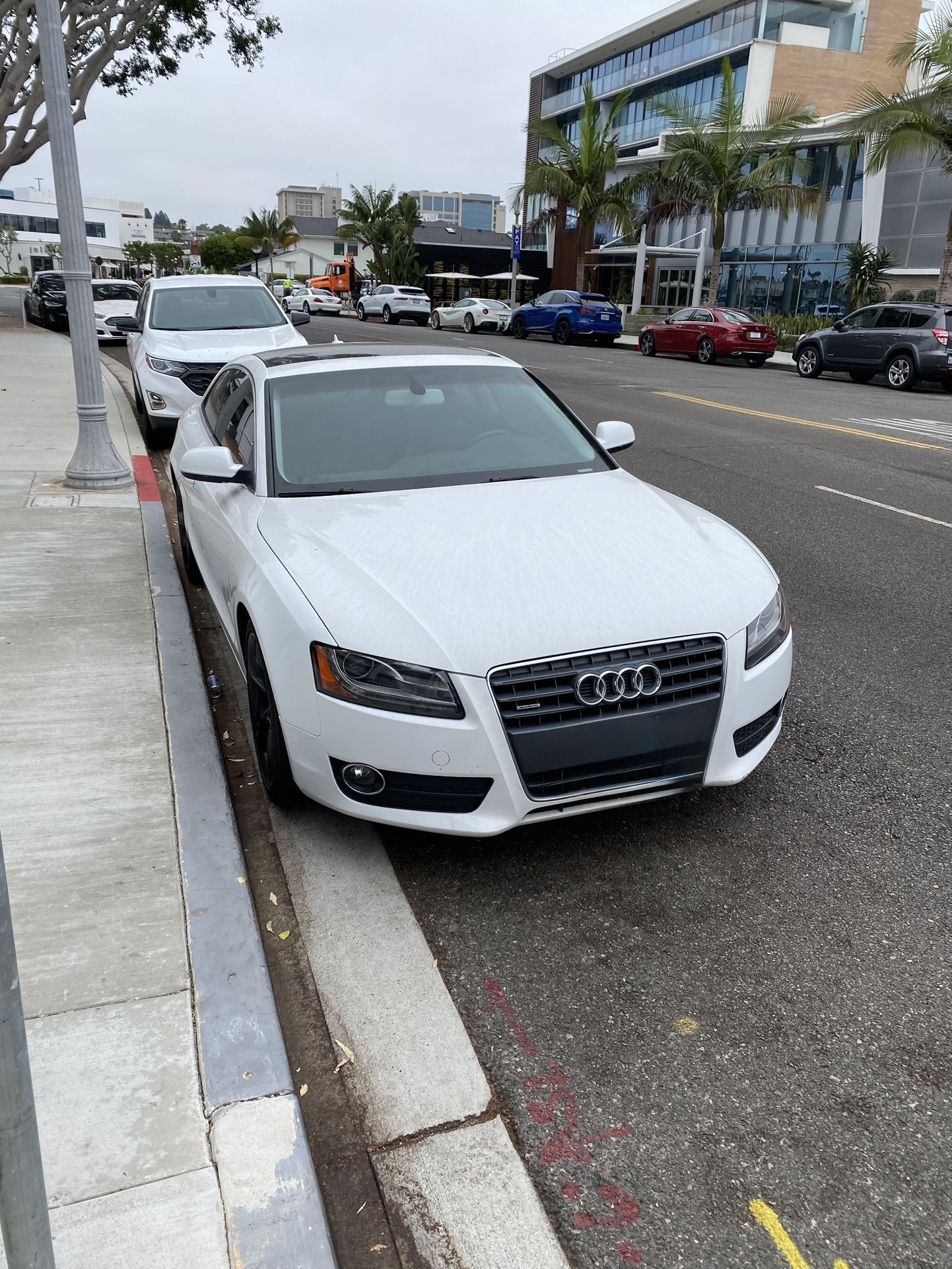 2010 Audi A5