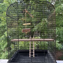 Bird Cage 