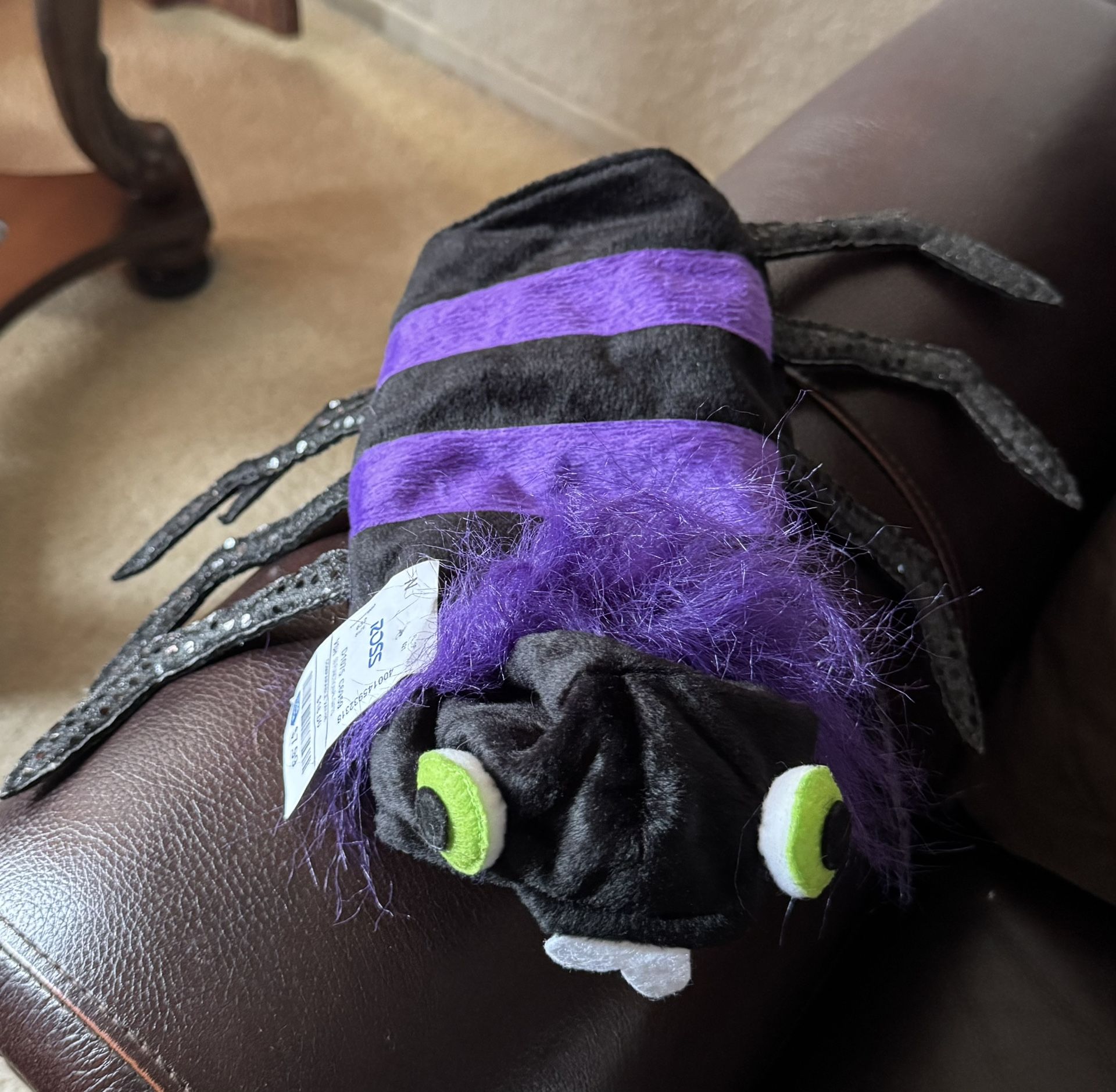 Spider Pet Costume. XSmall Size