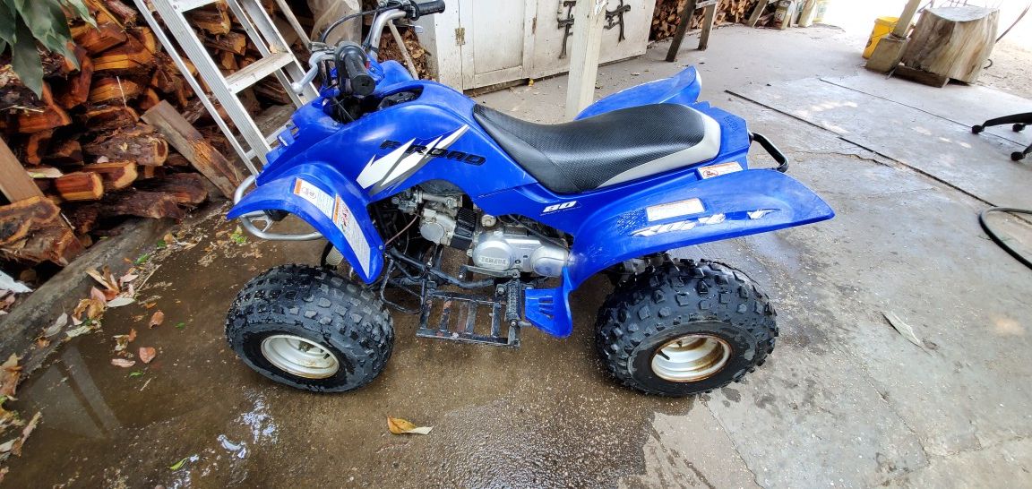 Yamaha Raptor 80cc