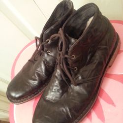 Ugg men's shoes
