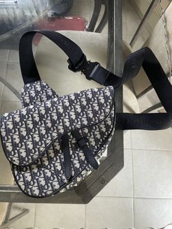Dior Saddle Bag (over the body)