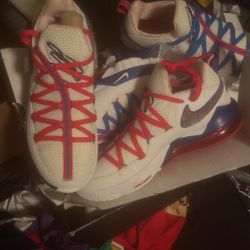 Lebron James 17 Low Space Jam 